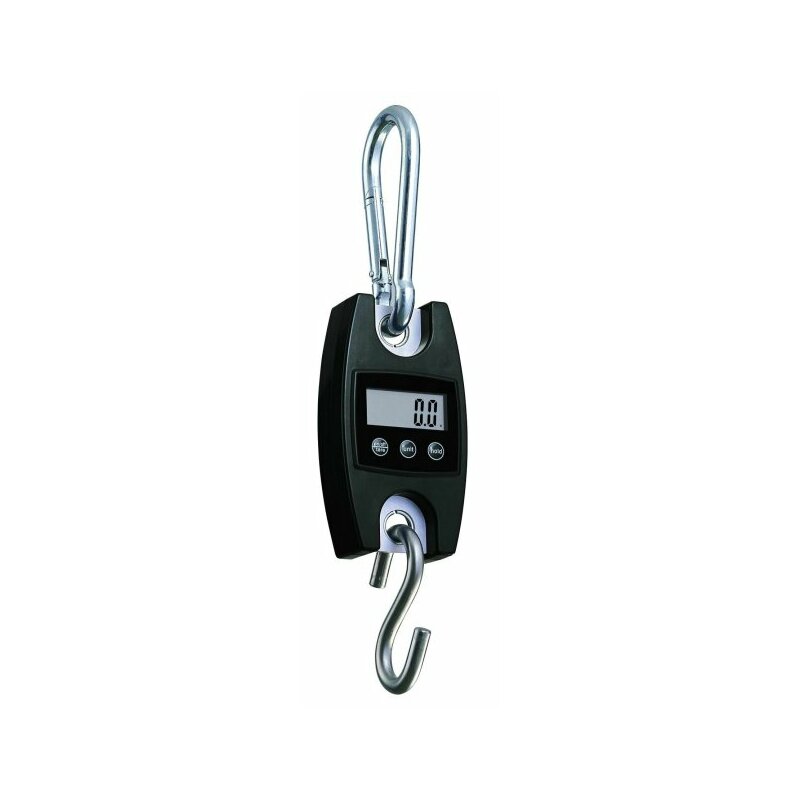 Balance Suspendue Kern HCB 100K200 - 0 à 100 Kg Précision 200g