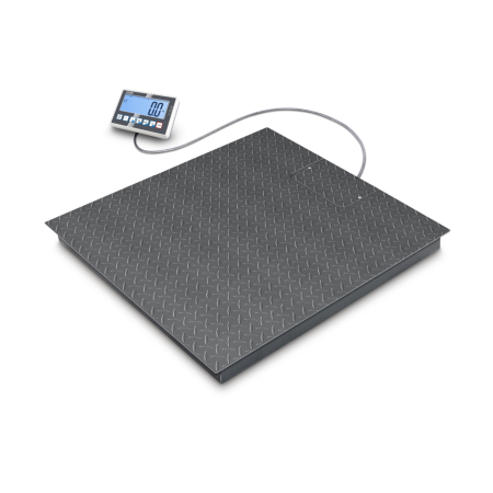 Kern BFC 8T-4D Bodenwaage IP67 - 4000/8000kg - 200/500g